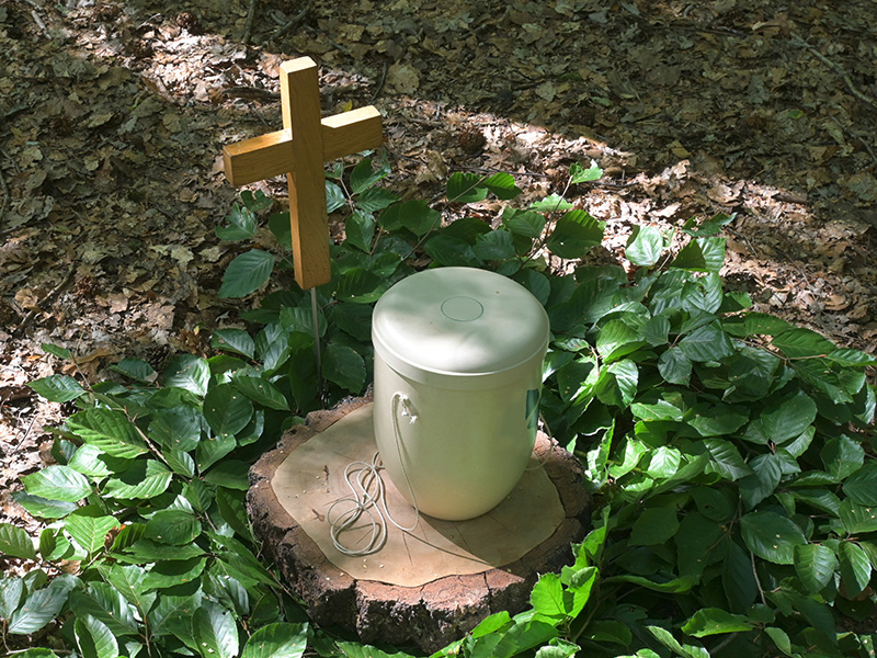 Urne bei einer Waldbestattung im natürlichen Umfeld als ruhige und würdevolle Form der Urnenbestattung in Hagen