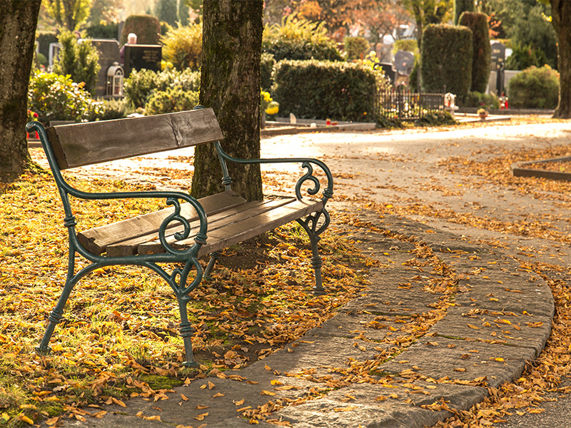 Friedhofsbank im warmen Abendlicht, Symbol für ruhige Planung einer Bestattungsvorsorge in Hagen.